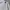 Nike Small Logo embroidered  photo 2
