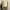 Y2k Poloshirt hushpuppies women section good fit photo 4