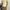 Y2k Poloshirt hushpuppies women section good fit photo 2
