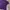 Y2k Poloshirt boxy purple Hushpuppies photo 8