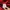 St. Louis Cardinals MLB Authentic Majestic Bomber photo 9