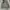 Alpha industries hooded rib jacket type MA-1 photo 2