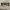 Kenzo Vintage Glass Pria brown photo 1