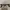 Kenzo Vintage Glass Pria brown photo 2