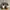 Adidas Casual Casual shoe Pria white yellow photo 3