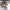 Givenchy Antigona Cat Printed Genuine Leather Crossbody Bag