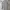 Uniqlo Vintage Streetwear Sweater Wanita gray photo 1