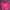 H&M Pretty Please Neon Pink Tpp