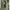 Vintage S.A.F Military Duffle Bag photo 2