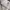 Nike Casual Sweater Pria silver photo 6