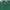 PT TORINO PT05 BUTTON FLY GREEN DENIM photo 3