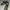 Nike Air Force 1 Low Misplaced Swoosh Second
