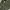 Casual Casual shoe Pria green gray photo 5