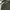 Casual Casual shoe Pria green gray photo 6
