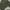Casual Casual shoe Pria green gray photo 2