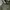 Casual Casual shoe Pria green gray photo 8