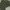 Casual Casual shoe Pria green gray photo 1