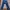 Levi's 501 selvedge photo 3
