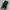 Longchamp Pouch Classic Black With Srap | Original Guarantee photo 7