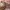 Longchamp Le Pliege Petal Pink | MLH | Original Guaranteed  photo 3