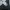 Legging Uniqlo Heattech Extra Warm x Alexander Wang Big size photo 2