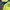 UMBRO TRITONE COLOR JERSEY photo 4