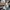 CARDIGAN BURBERRY LONDON ENGLAND photo 3