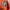 O'Neill Streetwear Sweater Pria orange photo 6