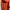 O'Neill Streetwear Sweater Pria orange photo 7