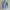 kemeja slim fit pria SIZE M kecil banana repuplic slim fit photo 8