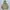 Gorpcore Windbreaker Pria tan photo 1