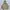 Gorpcore Windbreaker Pria Tan