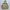 Gorpcore Windbreaker Pria tan photo 2