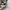 Gorpcore Windbreaker Pria tan photo 5