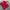Jersey Club Manchester United Adidas Chevrolet Colour Red & 