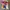 Super Mario Full Print Tshirt photo 4