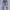 Levi's Vintage Jeans Pria Blue