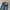 BASIC 1980 BAGGY LONG PANTS DENIM photo 4