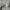 Prada Luxury Polo shirt Pria white photo 6