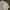 Prada Luxury Polo shirt Pria white photo 2