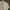 Prada Luxury Polo Shirt Pria White