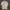 Prada Luxury Polo shirt Pria white photo 1