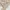 If You Korean Beige Fitted Ribbed Wrap Top Bears Deep VNeck photo 3