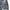 ONIARAI Streetwear Casual Jeans Pria multicolor photo 6