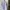 Polo & Racquet club shirt short sleeve kemeja photo 2
