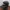 National Geographic topi Natgeo original turun warna photo 2