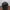 National Geographic topi Natgeo original turun warna photo 4