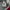 SEMANTIC DESIGN JAPAN x BRANDALISED FULL PRINT WHITE T-SHIRT photo 4