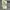 Armani Jeans Orane Nylon Jacket photo 10