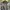 Vintage Realtree Camo Long Sleeve Pocket Tee Hunting photo 3